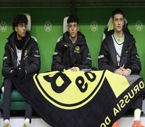 大乐透期号,专家质合推,前区十码分,新葡京,新葡京app,新葡京娱乐,新普京赌场